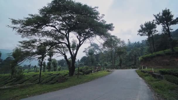 Motorcycle Driving Speeding Fast Roadtrip Munnar India Wide Shot — Stock video