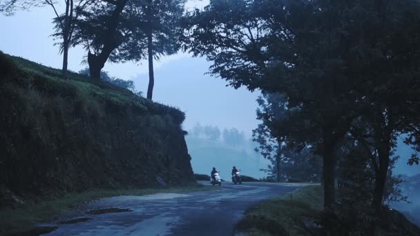 View Two Scooter Speeding Country Road Munnar India Moody Day — Stockvideo