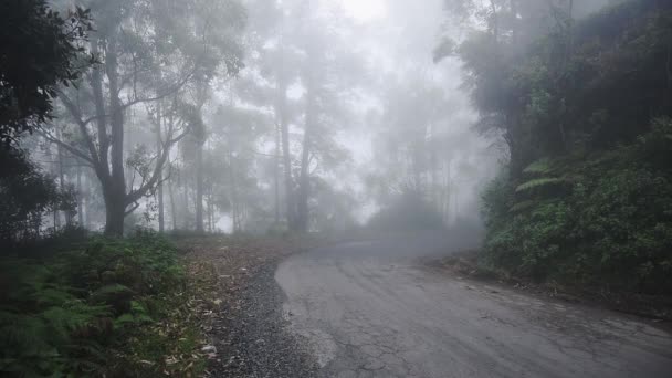 Two Motorcycles Swiftly Passing Dirt Road Forest Side Munnar Wide — Stock video