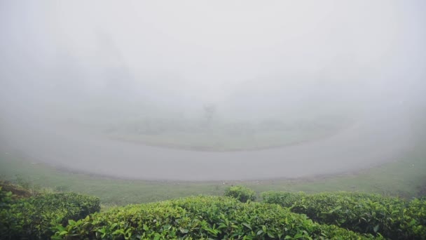Driving Misty Road Lake Munnar Mountains India Wide Shot — 비디오