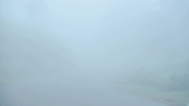 View Two Scooter Speeding Thick Fog Country Road Munnar India — Video Stock