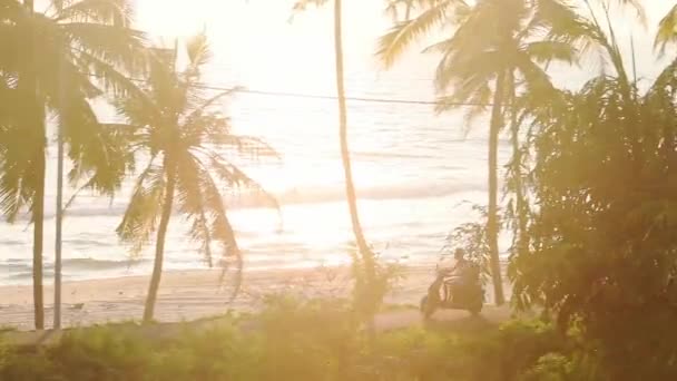 Healthy Green Palm Trees Tidal Waves Hitting Shore Varkala Beach — Video