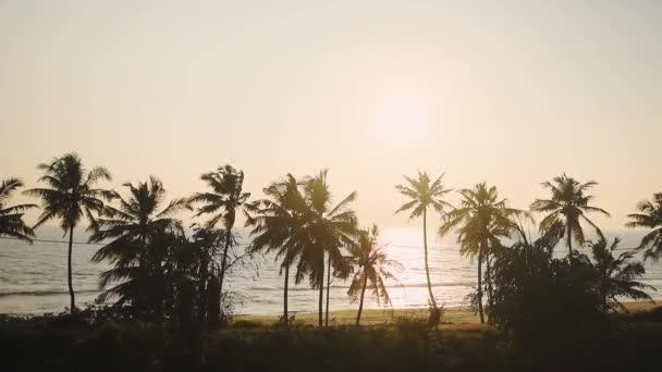 Car Crossing Beautiful Sunset Varkala Beach India Romantic Drive Wide — Stockvideo