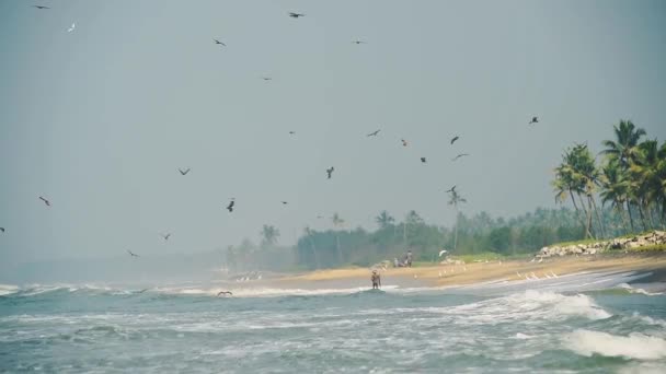 Wide View Kappil Beach Varkala Waves Crashing Shore Bright Blue — Stock Video
