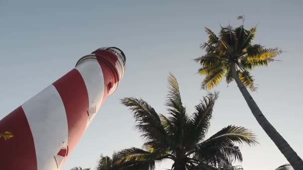 Bottom View Red White Striped Lighthouse Palm Trees Varkala India — Vídeo de Stock