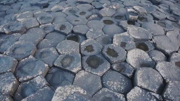 Hexagonal Geological Formations Giant Causeway Northern Ireland — 图库视频影像