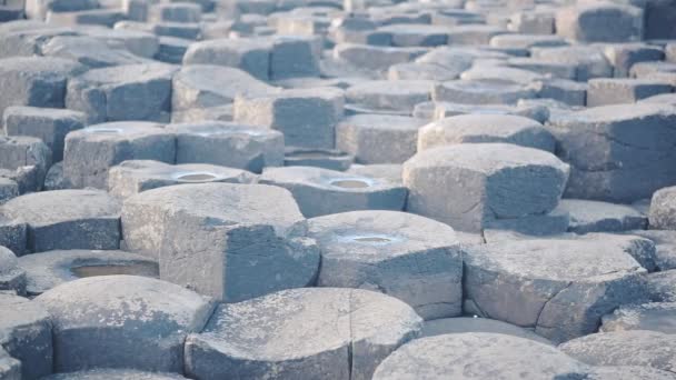 Interlocking Basalt Columns Giant Causeway Antrim Coast Located Northern Ireland — Stok video