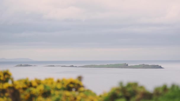 Rock Island Antrim Coast Ireland Blurred Foreground — Video