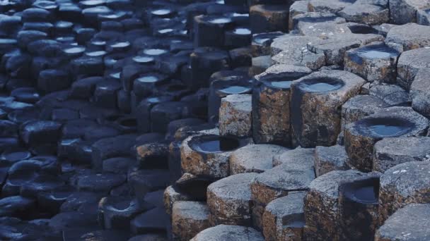 Hexagonal Rock Columns Firmly Fit Together Called Giant Causeway Drenched — Stock Video