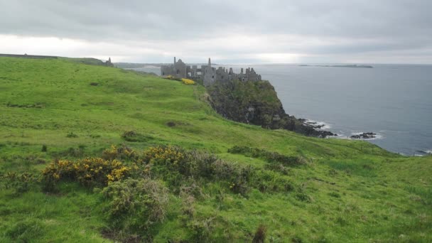 Wonderful Scenery Green Hill Calm Sea Ireland Aerial Shot — Stok video