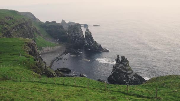 Green Mountain Cliffs Seabirds Flying Bird Sanctuary Rathlin Island Northern — Vídeos de Stock