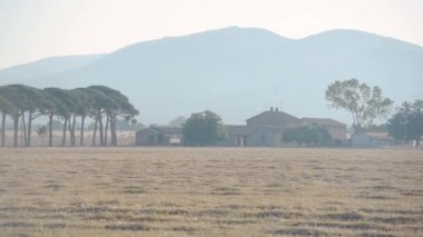 Italian countryside farmland and meadows landscape, on a sunny evening