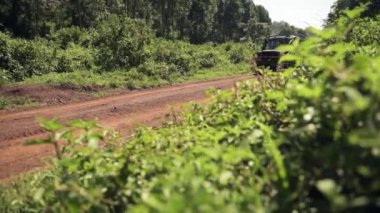 Safari vehicle on a dirt road through african bush, Aberdare National Park, Kenya