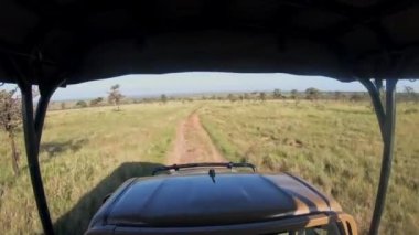 Landscape view from a safari truck of the kenyan savannah, Africa
