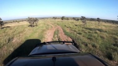 Landscape view from a safari truck roof of the kenyan savannah, Africa