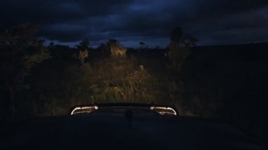 View from a safari truck through the kenyan bush, at dusk, Africa