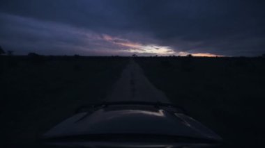 View from a safari truck through the kenyan savannah, at dusk, Africa