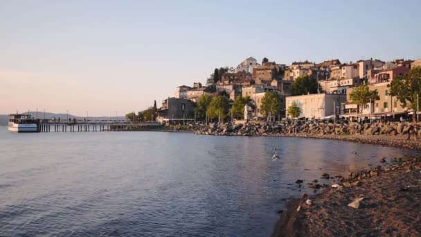 Peaceful Morning Bracciano Lake Birds Resting Rocky Shore Overlooking Anguillara — Stockvideo