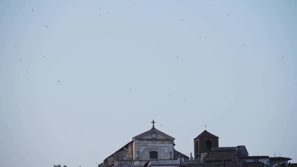 Flock Birds Flying Historical Santa Maria Assunta Church Small Village — стокове відео