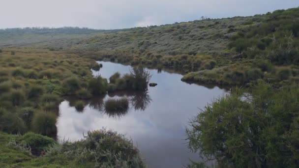 Landscape View African Moorland Aberdare National Park Kenya Moody Day — Video