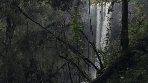 Chania Waterfall Powerfully Flowing Surrounded Lush Vegetation Kenya Moody Day — Video Stock