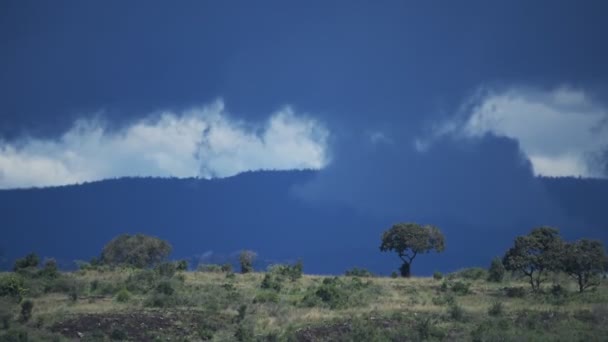 Panoramic Landscape View Cloud Formations Savannah Kenya Africa — Vídeo de Stock