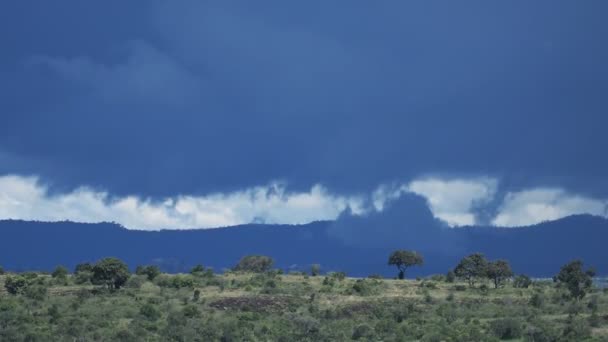 Panoramic Landscape View Stormy Clouds Savannah Kenya Africa — 图库视频影像