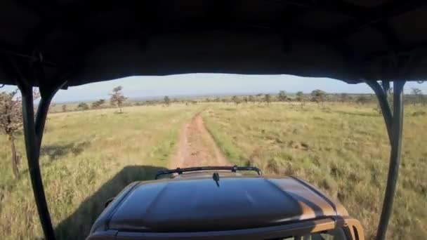 Landscape View Safari Truck Kenyan Savannah Africa — Stock Video