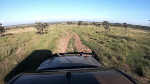Landscape View Safari Truck Roof Kenyan Savannah Africa — Video Stock