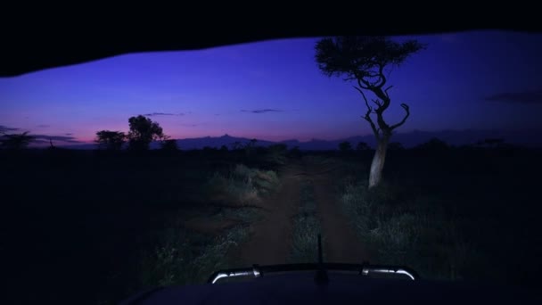 Вид Грузовика Сафари Пейзаж Саванны Сумерках Кения Африка — стоковое видео