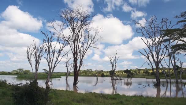 Cloudscape View Reflecting River Flowing Kenyan Bush Africa — Stok Video