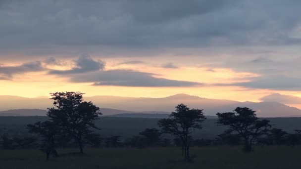 Sunset Landscape View Kenyan Savannah Africa — ストック動画