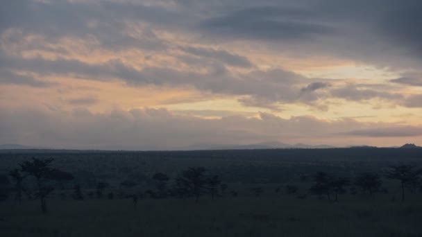 Panoramic Landscape View Cloudy Sunset Savannah Kenya Africa — Stockvideo