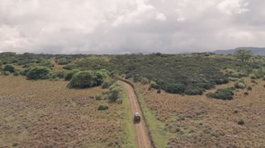Driving in Aberdare National Park, Kenya, Africa. Aerial drone view follow