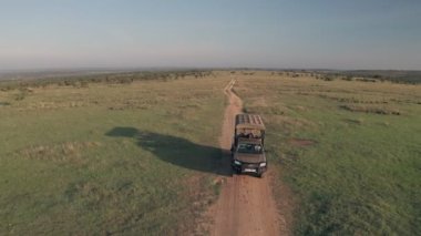 4 wheel drive vehicle on wildlife safari in Kenya. Aerial drone view of safari