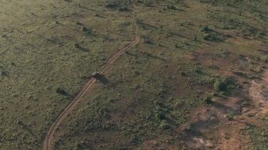 Aerial drone view of 4 wheel drive vehicle on wildlife safari in Kenya, Africa