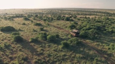 4 wheel drive vehicle on wildlife safari vacation in Kenya, Africa. Aerial drone follow