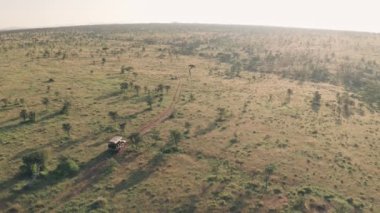 Driving on wildlife safari vacation in Kenya, Africa. Static high aerial drone view