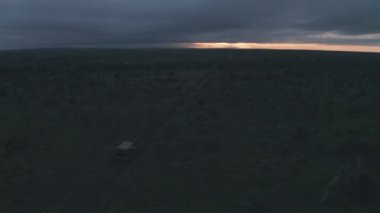 Aerial drone view of wildlife safari adventure holiday at sunrise in Laikipia, Kenya, Africa