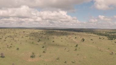 Aerial drone view of african safari game reserve landscape in Laikipia, Kenya