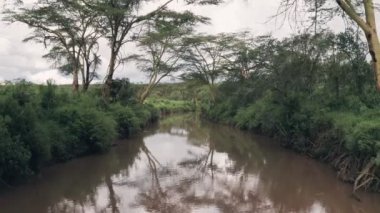 Rriver in African landscape in Laikipia, Kenya. Backwards aerial drone view