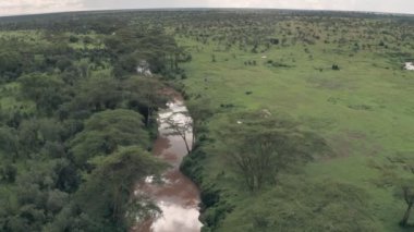Aerial drone view of river in African landscape in Laikipia, Kenya