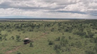 Safari game drive in Laikipia, Kenya. Aerial drone view of 4 wheel drive driving through African savanna landscape.