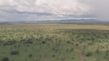 Wildlife vacation, driving through a game reserve in Laikipia, Kenya. Aerial drone view of African savanna landscape