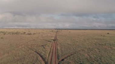 Driving safari in savanna plains in Laikipia, Kenya. Aerial drone view landscape