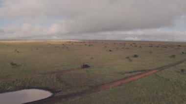 Elephant sighting while on wildlife safari in Laikipia, Kenya. Aerial drone view