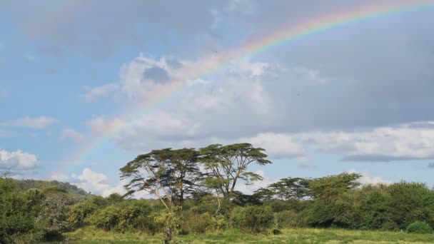 Rainbow Beautiful Green Landscape Sosian Kenya Rain Wide Shot — Stockvideo