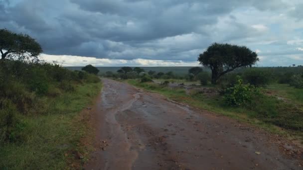 Beautiful Fresh Rainfall Sosian Landscape Kenya Wide Shot — Video