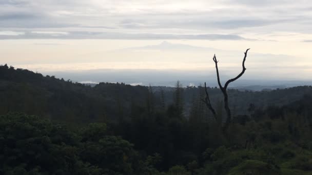 Beautiful Mount Kenya Landscape Sunrise — Stockvideo