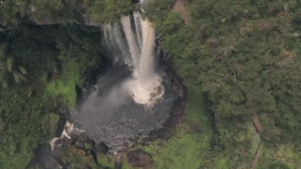 Chania Waterfall Aberdare National Park Kenya Africa Aerial Drone View — 图库视频影像